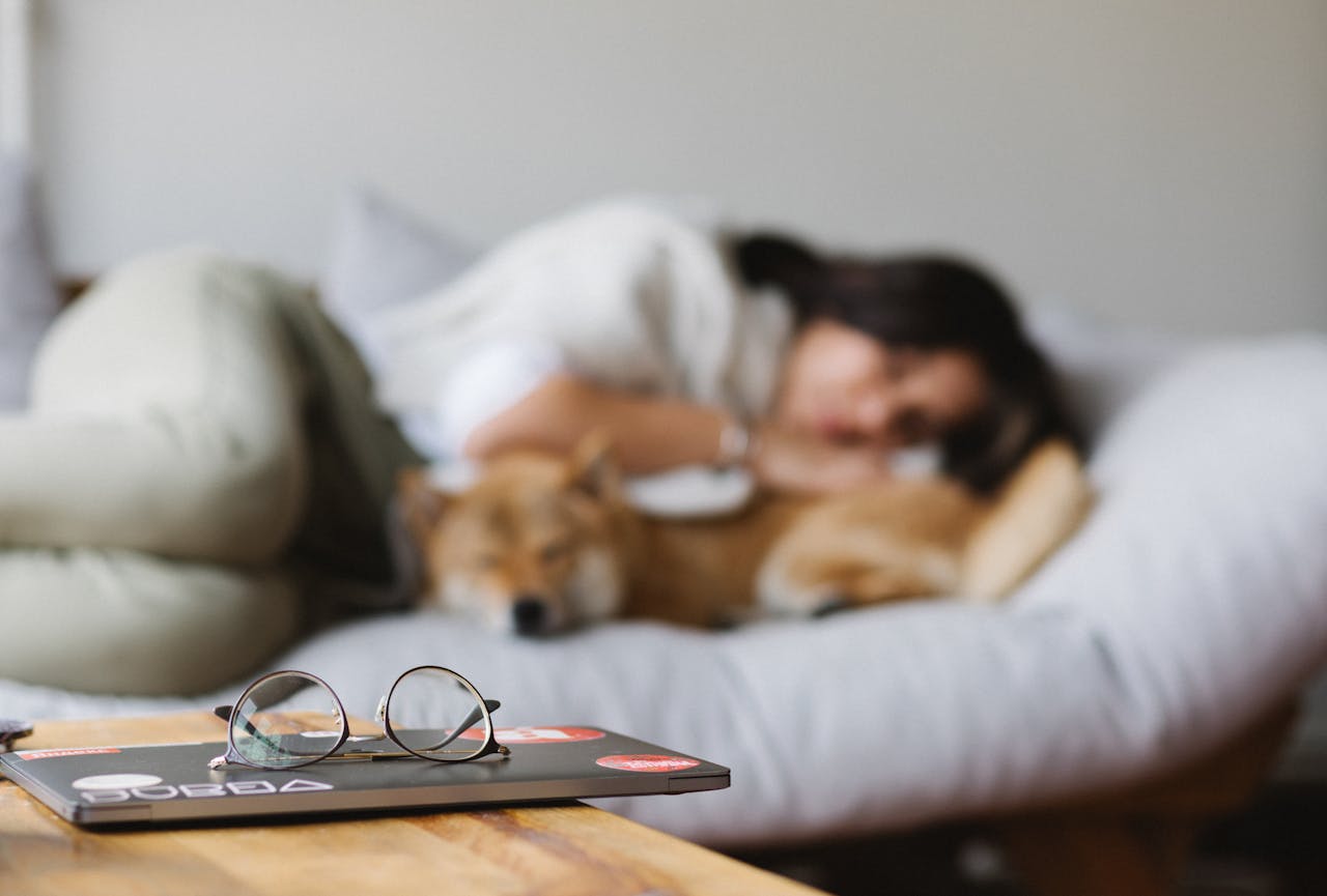 Common Pet Insurance Claim Denial Traps in 2025