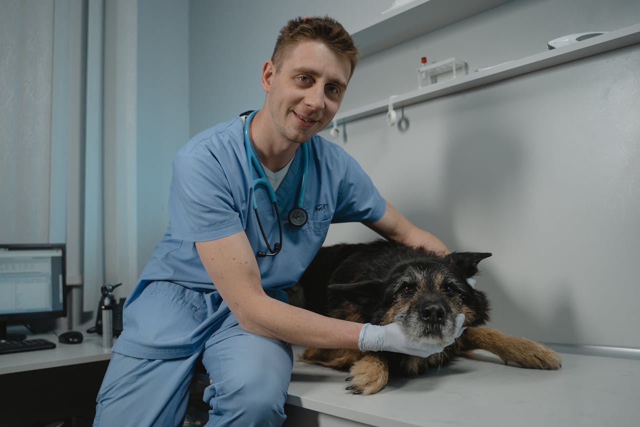 U.S. Best Pet Insurance Companies Worth Buying in 2025