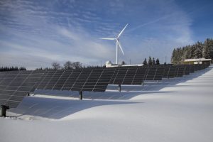What Are the Main Types of Renewable Energy in 2025?