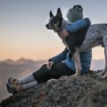 Pet Insurance Monthly Cost 2025: Full Provider Comparison