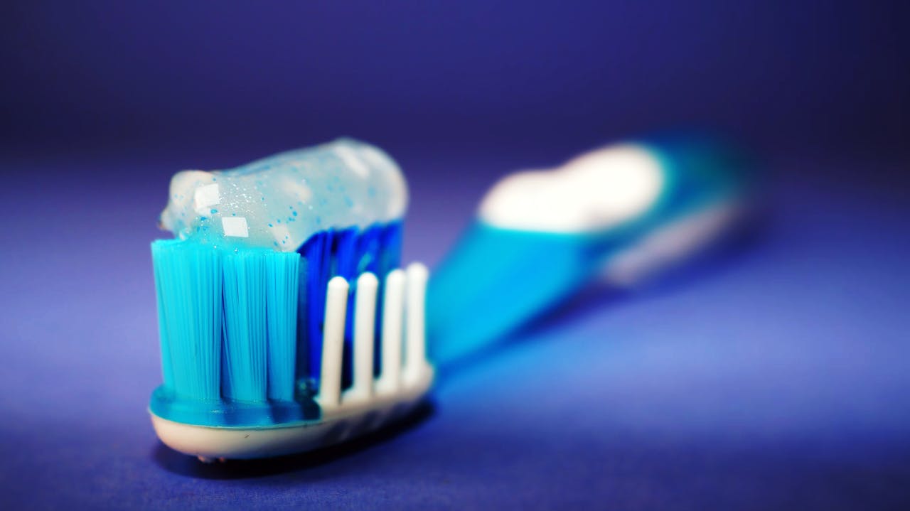 Is Pet Dental Insurance Worth It in 2025? Everything You Should Know