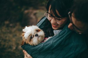 Why Was My Pet Insurance Claim Denied? Common Rejection Reasons in 2025