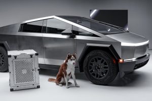 Top 5 Autonomous Driving Stocks to Watch in 2025