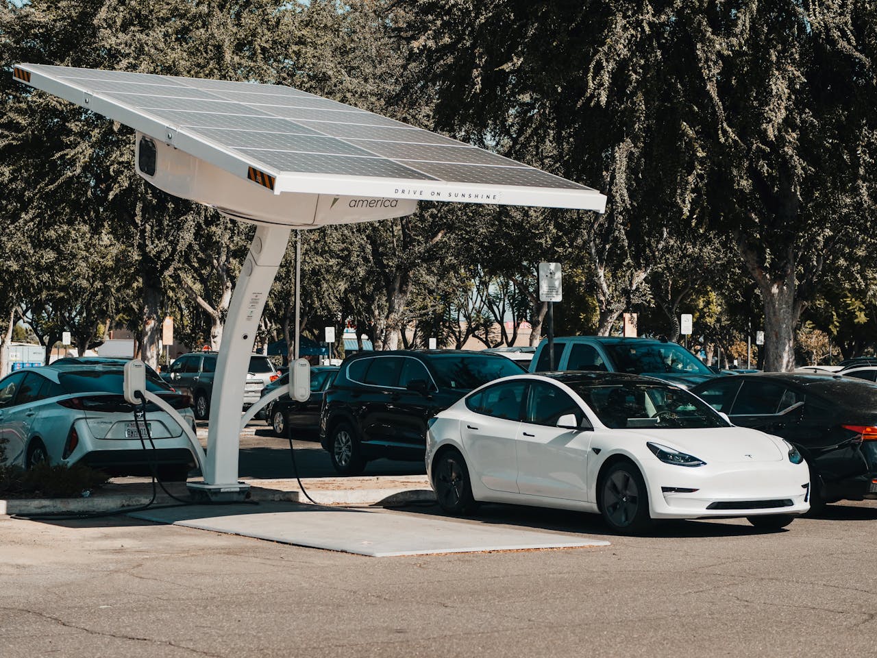 Used Tesla Buying Guide: Check FSD and Battery Health in 2025
