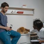 Best Pet Insurance by Breed: 2025 Full Guide