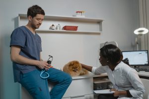 Best Pet Insurance by Breed: 2025 Full Guide