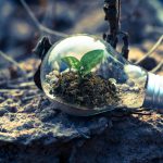 Top Green Energy Stocks to Watch in 2025 (Beyond Tesla & Enphase)