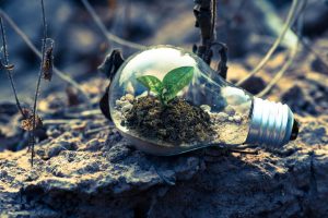Top Green Energy Stocks to Watch in 2025 (Beyond Tesla & Enphase)